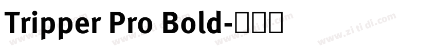 Tripper Pro Bold字体转换